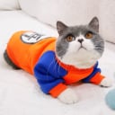 Coussins et accessoires pour chats