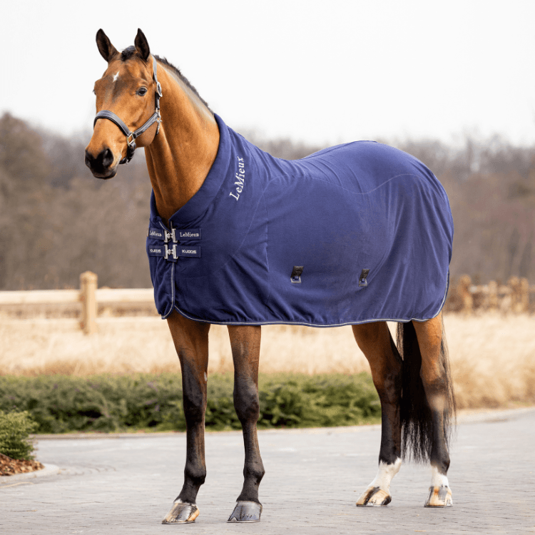 Couvertures et accessoires pour chevaux